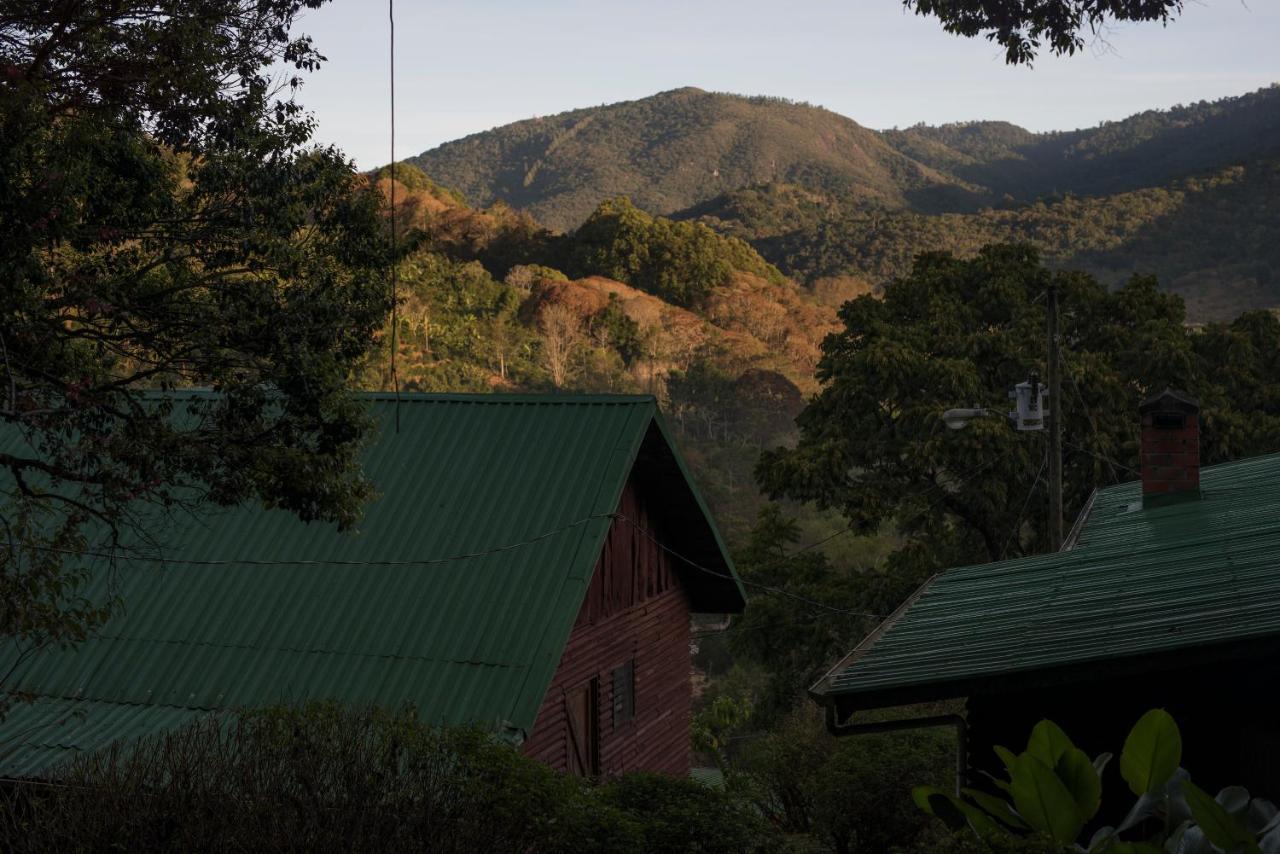 Cedrela Eco-Lodge & Restaurante Copey Bagian luar foto