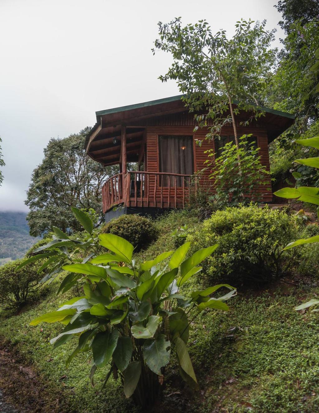 Cedrela Eco-Lodge & Restaurante Copey Bagian luar foto