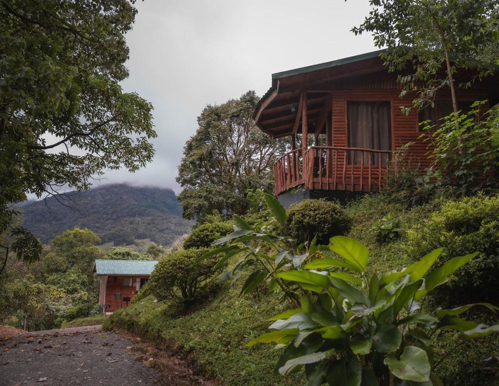 Cedrela Eco-Lodge & Restaurante Copey Bagian luar foto