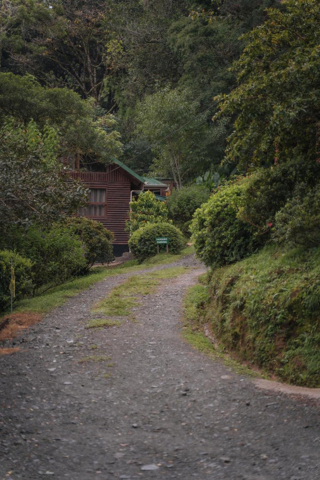 Cedrela Eco-Lodge & Restaurante Copey Bagian luar foto