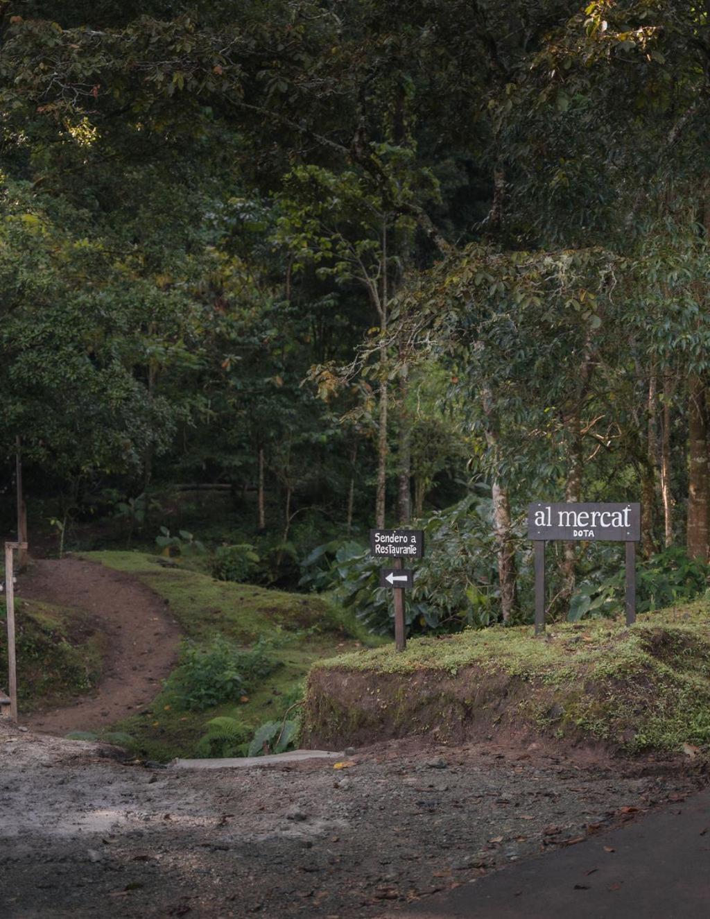 Cedrela Eco-Lodge & Restaurante Copey Bagian luar foto